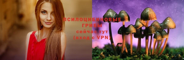 МДПВ Армянск