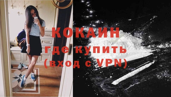 винт Арсеньев